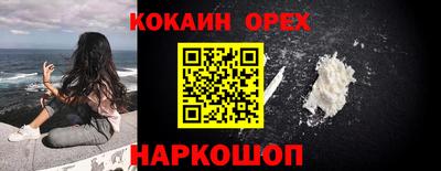 соль ск Новозыбков