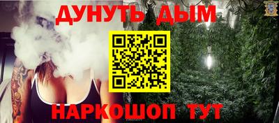 соль ск Новозыбков