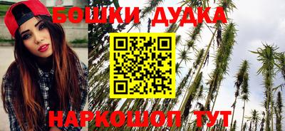 соль ск Новозыбков