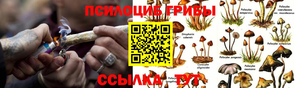 Псилоцибиновые грибы мухоморы  Вход с VPN  Псилоцибиновые грибы Psilocybe  Удомля 
